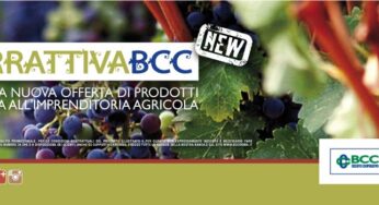 Prestito agrario: cos’è, come funziona. Le soluzioni di BCCRoma.