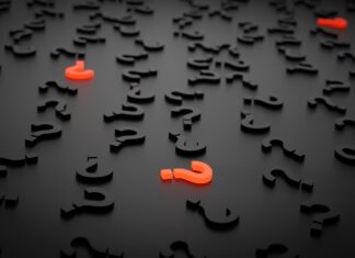 7 domande rudy bandiera