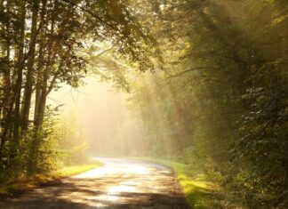 Un pezzetto di strada insieme